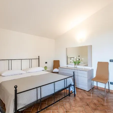 Theo House Daire