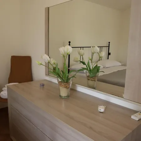 Theo House 锡耶纳